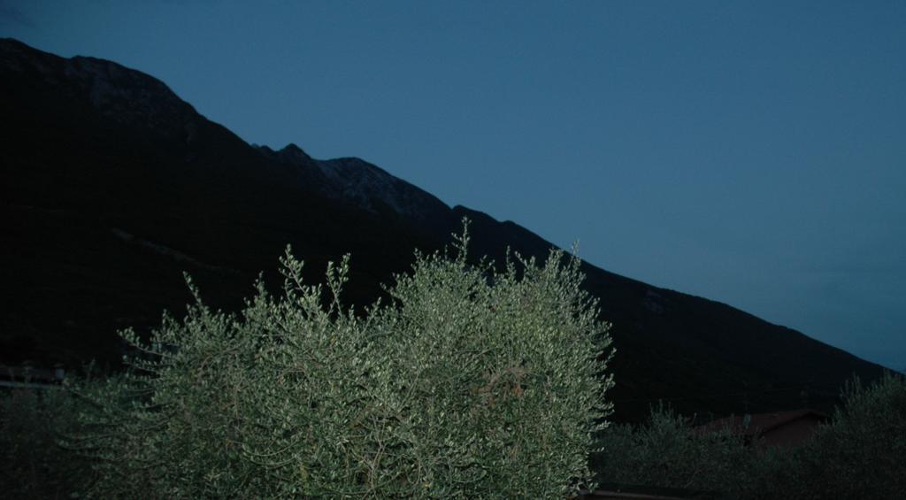 Appartamento La Corte Di Magù *
